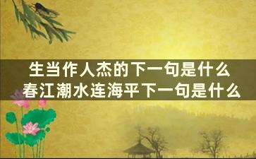 生当作人杰的下一句是什么 春江潮水连海平下一句是什么